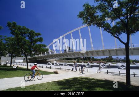Spanien valencia Museum für Kunst und Wissenschaft Architektur Santiago calatrava alameda Brücke Stockfoto