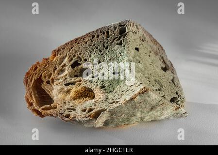 Der alte Schimmel auf dem Roggenbrot. Verdorbenes Essen grauer Hintergrund Stockfoto