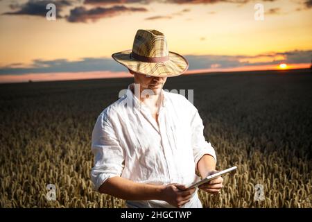 Landwirt in einem Strohhut und einer Brille mit einem digitalen Tablet, die vor Sonnenuntergang auf einem Weizenfeld steht. Agrarproduktionskonzept Stockfoto