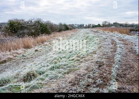 Frostbedecktes Feld und Gras an einem kalten Morgen im Winter in England, Großbritannien. Stockfoto