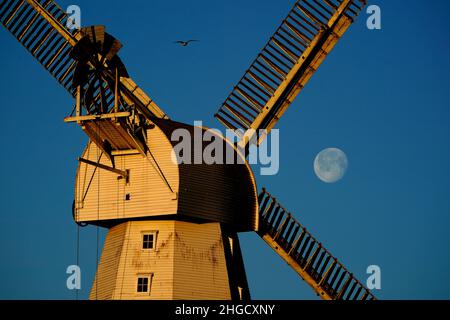 Willesborough Windmill, eine 1869 erbaute weiße Schmehlmühle, wird in der Morgensonne gebadet, als der Mond in Ashford, Kent, untergeht. Bilddatum: Donnerstag, 20. Januar 2022. Stockfoto