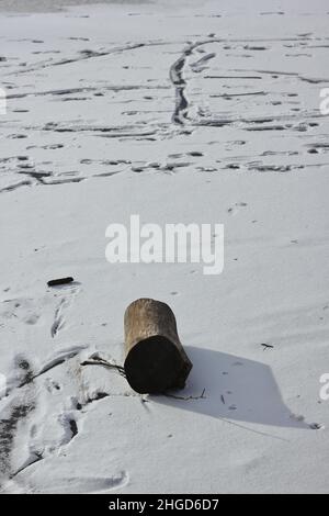 Altes Holzholz, das an einem kalten verschneiten Wintertag auf der Wiese steht. Stockfoto