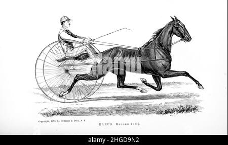 1867 in Greenport, New York, geboren, wurde Rarus von Conklin's Abdallah 15 aus Nancy Awful geboren. Im Alter von drei Jahren wurde er zerbrochen und gewann sein erstes Rennen gegen 3:00 Uhr. Auf dem Grand Circuit hat Rarus von 1874 auf 1876 den Rekord auf 2:30 3/4 reduziert. 1878 trabte er 2:13 1/4, wurde für $36.000 an Robert Bonner verkauft und ging in den Ruhestand. Rarus starb 1892 auf Bonners Hof. Aus dem Cyclopedia jedes Pferdebesitzers : die Anatomie und Physiologie des Pferdes; allgemeine Merkmale; die Punkte des Pferdes, mit Anweisungen, wie man ihn wählt; die Grundsätze der Zucht und die beste Art zu Stockfoto