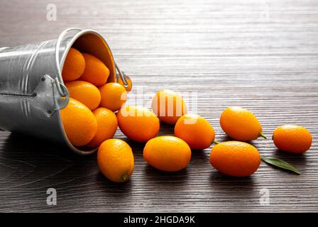 Kumquats oder Cumquats ( Citrus japonica) in einem Zinkeimer und auf braunem Holzbrett Hintergrund. Rahmenkonzept für Zitrusfrüchte mit Rahmen und Kopierfläche. Stockfoto