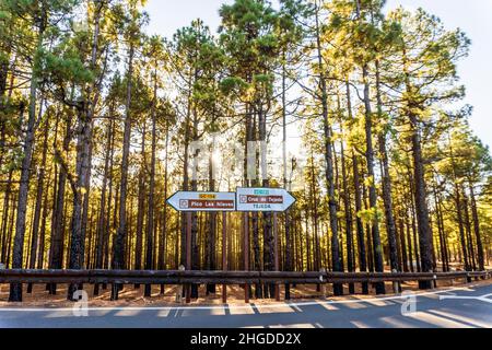 Straßenüberquerung im Wald mit Schildern, die die Richtung für berühmte Orte wie den höchsten Gipfel Pico Las Nieves und die Stadt Tejeda, Gran Canaria, ca. Stockfoto