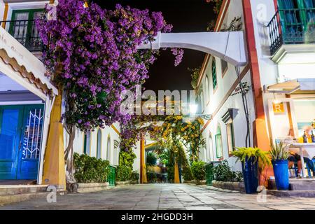 Charmante blühende Blumen in den engen Gassen von Puerto de Mogan, Gran Canaria, Spanien Stockfoto