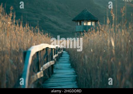 Alte Holzpromenade mit Geländer an der Seite und Wachturm im sic Schilf Reservat, Cluj, Rumänien Stockfoto