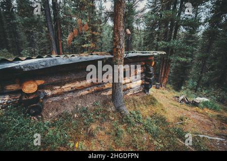 Seitenansicht eines unterirdischen Holzhauses im borealen Wald. Eine Holzhütte, die am Berghang gebaut wurde und von großartigen Pinien umgeben ist. Eine kleine Hütte ha Stockfoto