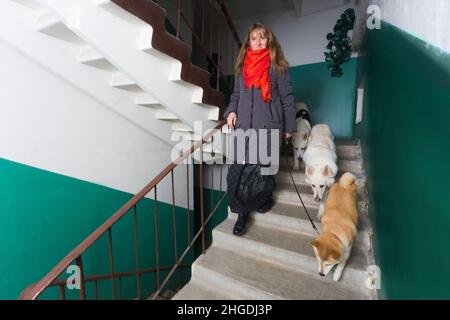 Eine Frau geht mit drei Hunden an der Leine nach draußen. Die Hunde sind wohlerzogene und gehen der Reihe nach Seite an Seite. Stockfoto