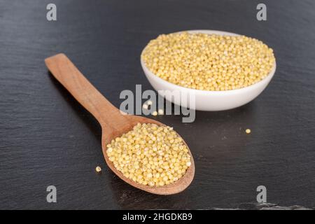 Trockene Bio-Hirse in einer weißen Untertasse und Holzlöffel auf einem Schieferstein. Stockfoto