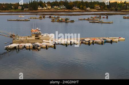 Ein Hummerboot wird am Pier im Hafen entladen, wo Motorboote an einem langen Pier anstehen Stockfoto