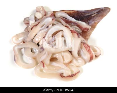 RAW Octopus, Calmar mit Calamari-Ringen isoliert auf weißem Hintergrund Stockfoto