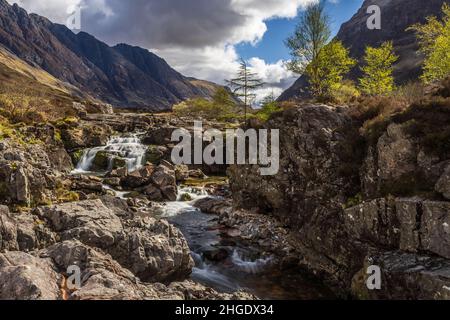 Der Fluss Coe entspringt am nordöstlichen Fuße des Buachaille Etive Beag in Schottland und fließt westlich entlang des Glen Coe. Nach dramatischen Wasserfällen am Pa Stockfoto