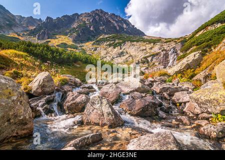 Berglandschaft mit Wasserfall auf einem Bach, Mlynicka Tal im Nationalpark hohe Tatra, Slowakei, Europa. Stockfoto