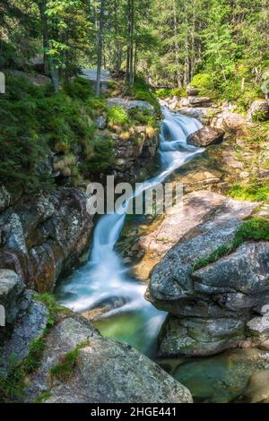 Die Studenovodske Wasserfälle auf einem Bach im Wald, Nationalpark hohe Tatra, Slowakei, Europa. Stockfoto