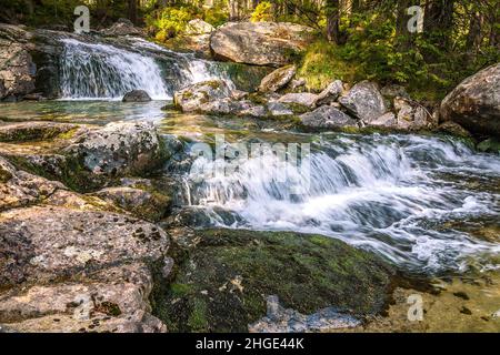 Die Studenovodske Wasserfälle auf einem Bach im Wald, Nationalpark hohe Tatra, Slowakei, Europa. Stockfoto