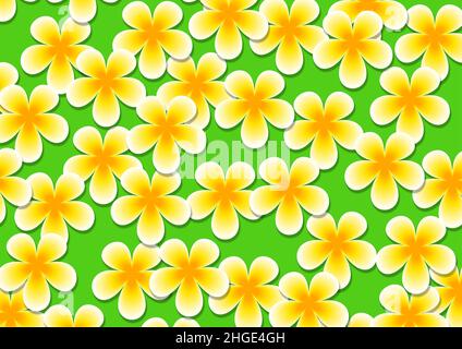 Nahtlose weiße Plumeria oder Araliya Blumenmuster für Tapeten im Vektorformat Stock Vektor