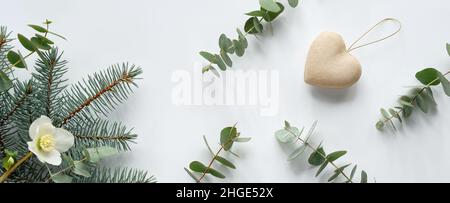 Eukalyptus und weiße Helleborus-Blume im Winter. Panorama-Bannerbild. Winter flach legen, immergrüne Tanne, Eukalyptuszweige und Winter Rose oder fastenzeit Stockfoto