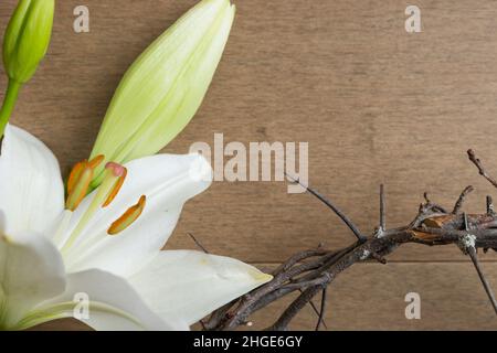 Einzelne weiße osterlilie mit einer teilweisen Dornenkrone auf einem hellen Holzhintergrund mit Kopierraum Stockfoto