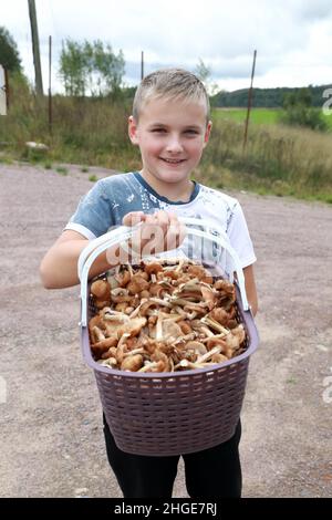 Kind mit Korb mit Honigpilzen, Karelien Stockfoto