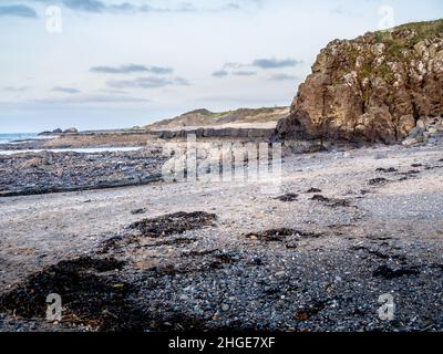 Felsiger Strand in Dunure South Ayrshire im Winterlicht. Stockfoto