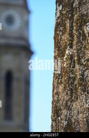 Nahaufnahme der Baumrinde im selektiven Fokusbild. Ein alter Turm auf dem verschwommenen Hintergrund Stockfoto