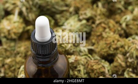 CBD-Öl tropft aus einer Pipette in einer braunen, bernsteinfarbenen Glasflasche, umgeben von getrockneten Marihuanaknospen, oben aus der Nähe. Stockfoto
