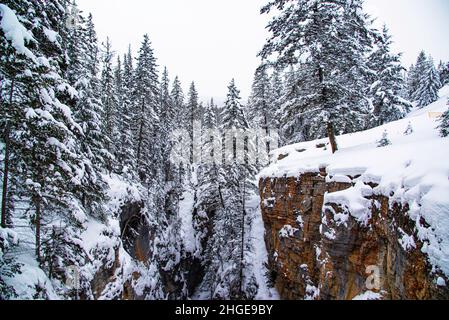 Maligne Canyon, Kanada - 25 2021. Dez.: Der Creek ist im Maligne Canyon eingefroren, der von Wald umgeben ist Stockfoto