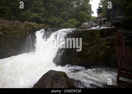 Touristen stehen auf dem Gipfel des skelwith Force Wasserfalls am Fluss brathay in der Nähe von ambleside Lake District, cumbria, england, großbritannien Stockfoto