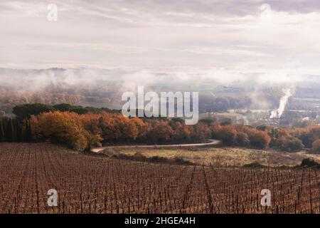 Winterlandschaft der hügel des chianti classico, Weinberge und Zypressen an einem nebligen Tag. Stockfoto