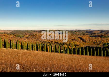 Eine serene Landschaft der Crete Senesi und des Val D'Orcia-Tals von den hügeln des chianti classico an einem sonnigen Wintertag. Stockfoto