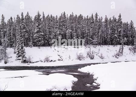 Jasper National Park，Kanada - 25 2021. Dez.: Gefrorener Bach im Jasper National Park, umgeben von Wald- und Felsbergen Stockfoto