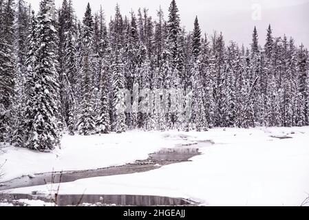 Jasper National Park，Kanada - 25 2021. Dez.: Gefrorener Bach im Jasper National Park, umgeben von Wald- und Felsbergen Stockfoto