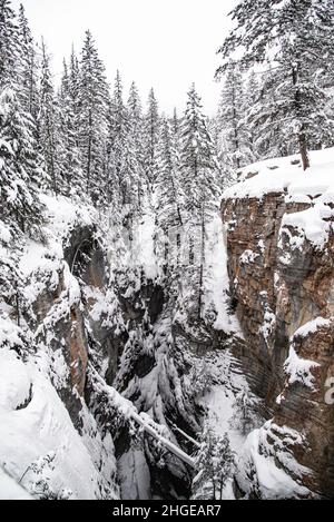 Maligne Canyon, Kanada - 25 2021. Dez.: Der Creek ist im Maligne Canyon eingefroren, der von Wald umgeben ist Stockfoto