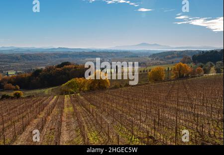 Eine serene Landschaft der Crete Senesi und des Val D'Orcia-Tals von den hügeln des chianti classico an einem sonnigen Wintertag. Stockfoto