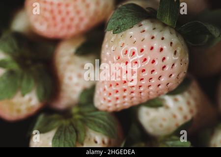 Frisches Obst Flach Legen. Nahaufnahme von Weinbeeren auf dem Holztisch. Weiße Erdbeeren. Stillleben Von Saisonalen Früchten. Rosa und weiße Beeren auf dunklem Hintergrund. Stockfoto