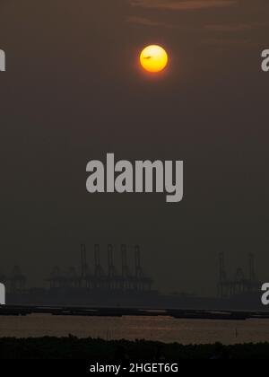 Shekou Container Terminal, SCT Stockfoto