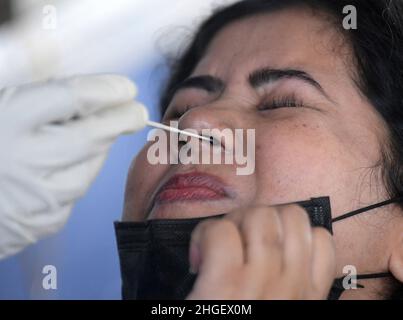 Ein Gesundheitsmitarbeiter nimmt von einem Fluggast eine Nasenabstrichprobe ab, um am Flughafen in Agartala auf COVID-19 zu testen. Tripura, Indien. Stockfoto