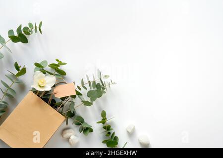 Basteltasche mit Eukalyptus im Winter und weißer Helleborus-Blume. Brauner Papieranhänger, Kopierbereich. Winter flach lag mit immergrünen Zweigen und Winterrose. Stockfoto