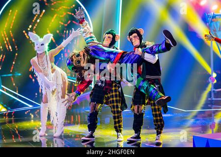 Köln, Deutschland. 20th Januar 2022. Die Figur 'The Monkey' ist in der ProSieben-Show 'The Masked Dancer' auf der Bühne. Quelle: Rolf Vennenbernd/dpa/Alamy Live News Stockfoto