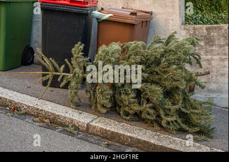 Verlassene Weihnachtsbäume in der Straße neben dem Mülltonnen nach den Feiertagen. Ökologie, Abfall und Umweltkonzept. Stockfoto