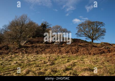 Robin Hood's Stride, Derbyshire Peak District, Großbritannien Stockfoto