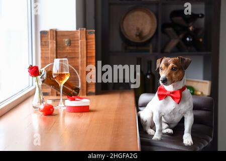 Jack Russel Terrier mit Fliege am Valentinstag im Restaurant Stockfoto