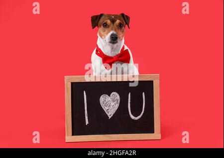 Jack Russel Terrier mit Fliege und Kreidetafel auf rotem Hintergrund. Valentinstag-Feier Stockfoto