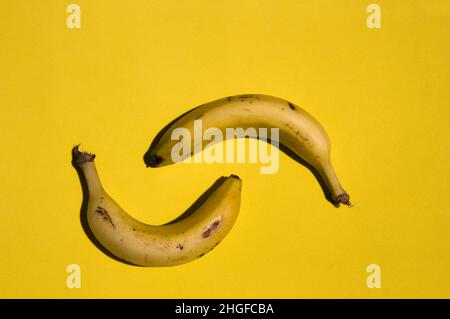 Nahaufnahme von ein paar reifen Bananen, die auf einem gelben Hintergrund mit Kopierraum isoliert sind Stockfoto