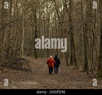 Nettes älteres Paar geht im Wald spazieren Stockfoto