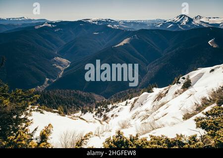 Berge, Nadelwald im Schnee, Frühling, Winter Stockfoto