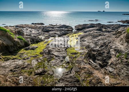 Detaillierter Vordergrund aus uraltem, zerklüfteten Granit, Schieferfelsen, gestreut entlang der Küste Cornis, warm, spätsommerliche Nachmittagssonne, reflektierend auf roc Stockfoto