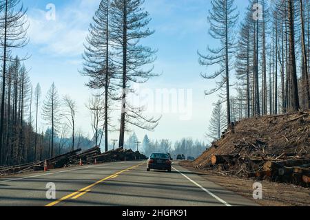 Autoverkehr auf dem Highway 22 durch den Santiam Canyon in Oregon, wo vor kurzem die Santiam-Brände von 2020 kurz vor Detroit, Oregon, verbrannt wurden. S Stockfoto