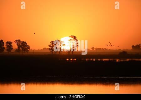 Schöner Sonnenuntergang mit Vögeln, die am Laguna Navarro See, Buenos Aires, Argentinien fliegen Stockfoto